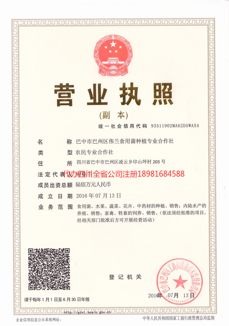 舞钢舞钢伟兰食用菌种植专业合作社